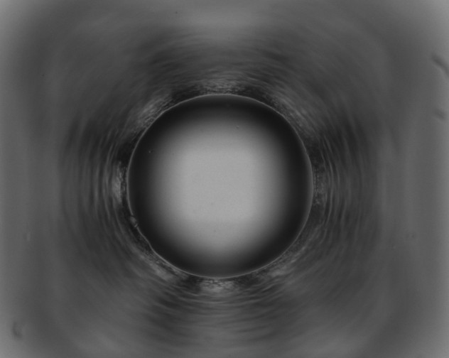 X0000093230334200710031503