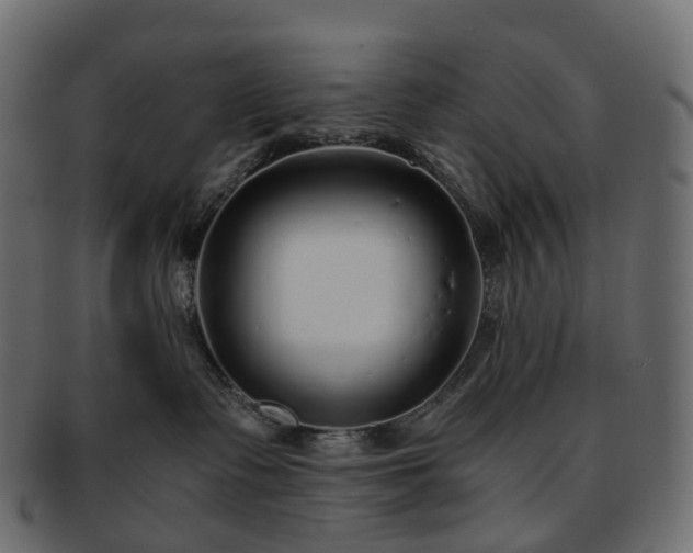 X0000093230335200710031503