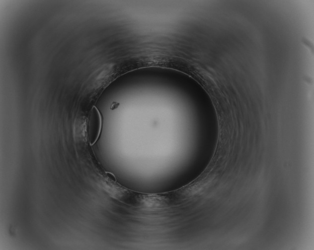 X0000093230336200710031503