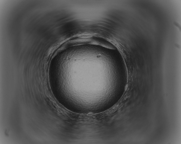 X0000093230337200710031503