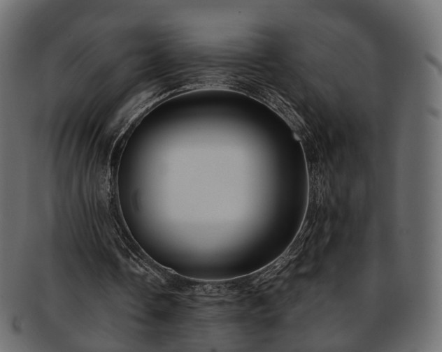 X0000093230338200710031503