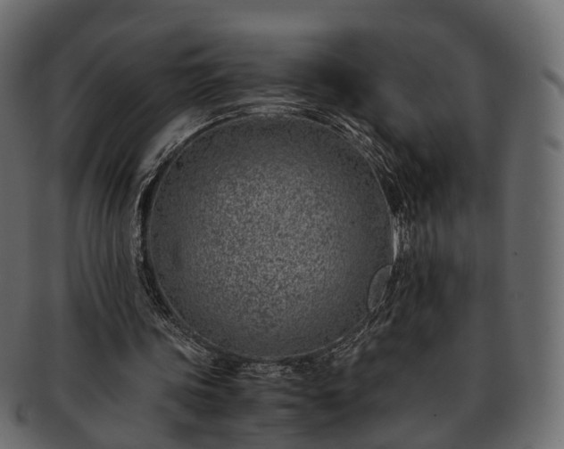 X0000093230339200710031503