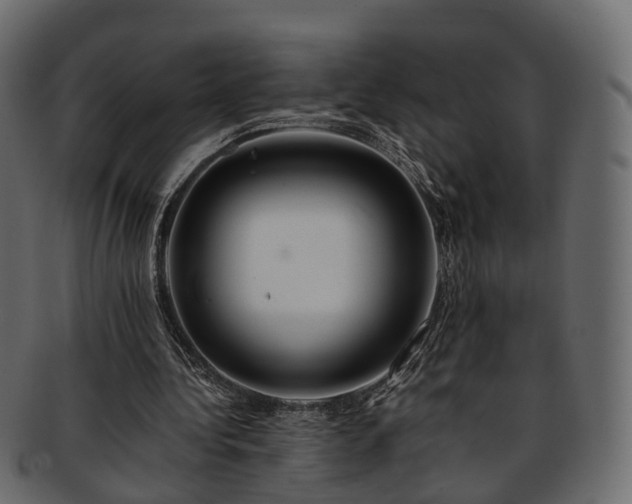 X0000093230340200710031503