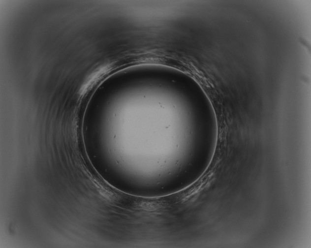 X0000093230341200710031503