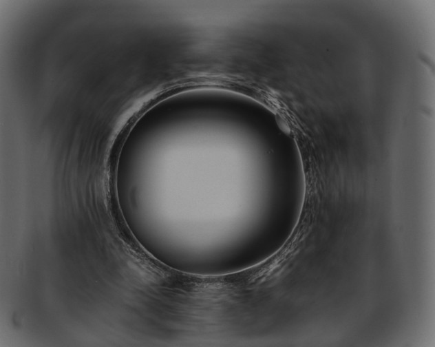 X0000093230342200710031503