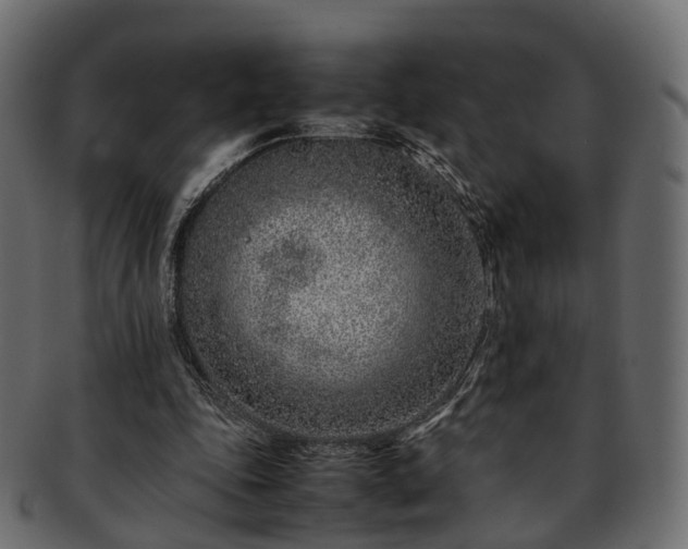 X0000093230343200710031503