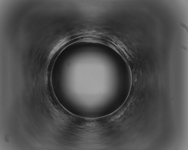 X0000093230344200710031503