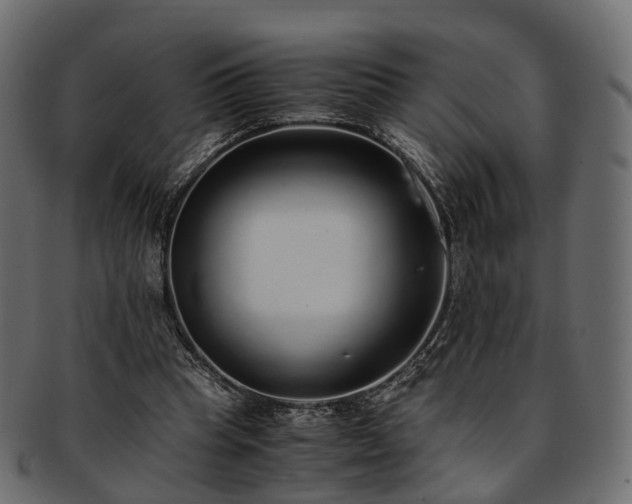 X0000093230345200710031503