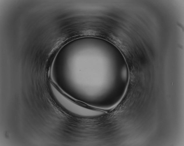 X0000093230347200710031503