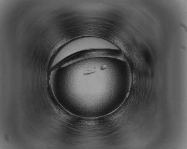 X0000093230349200710031503