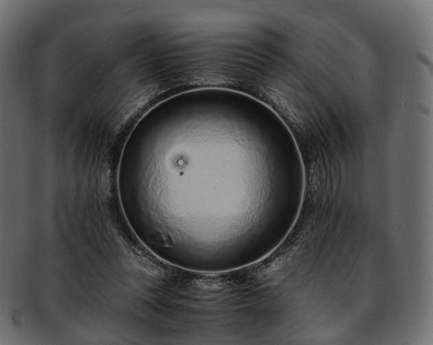 X0000093230351200710031503