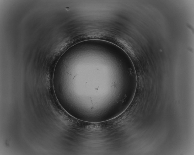 X0000093230354200710031503