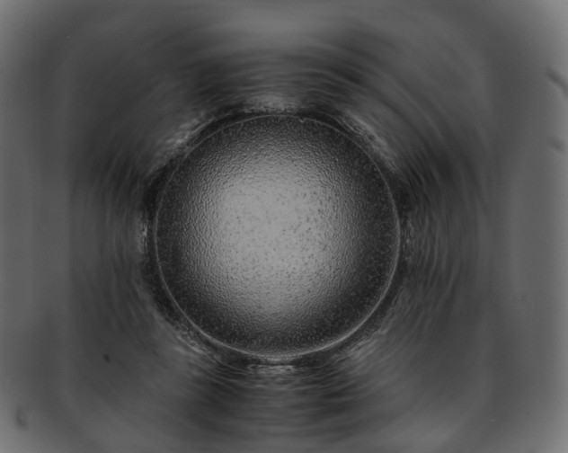 X0000093230355200710031503