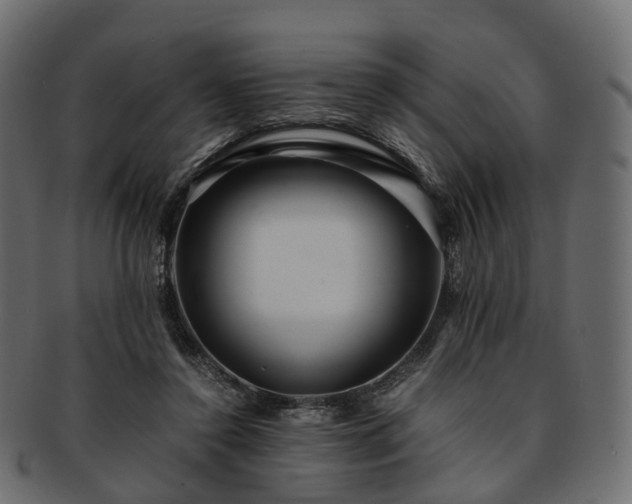 X0000093230356200710031503