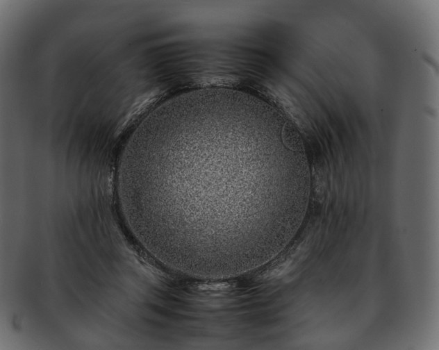 X0000093230357200710031503