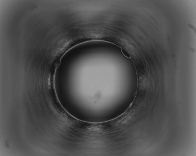 X0000093230358200710031503