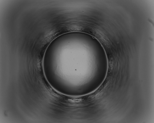 X0000093230359200710031503