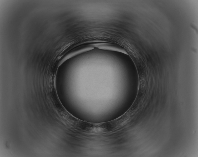 X0000093230360200710031503