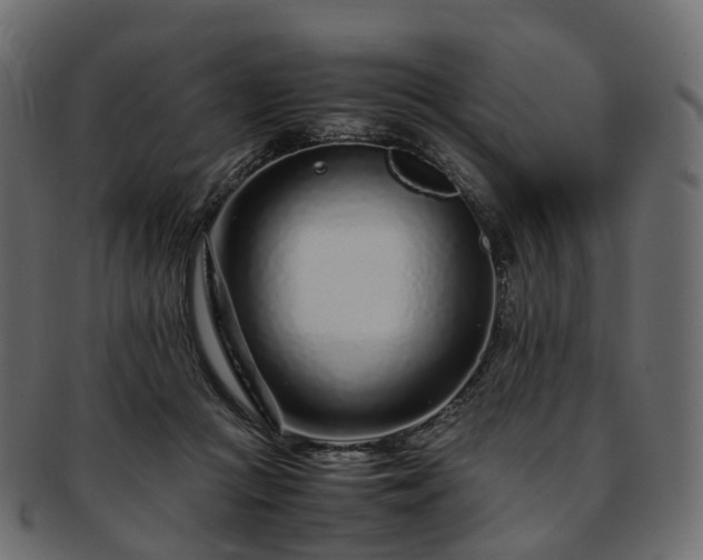 X0000093230361200710031503