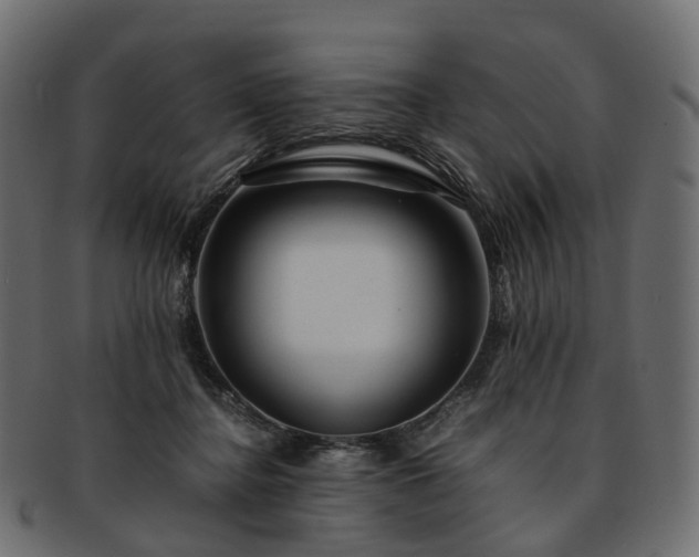 X0000093230364200710031503