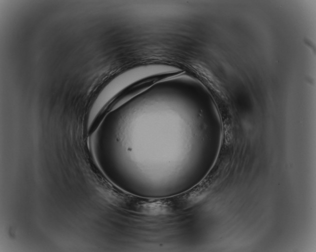 X0000093230365200710031503