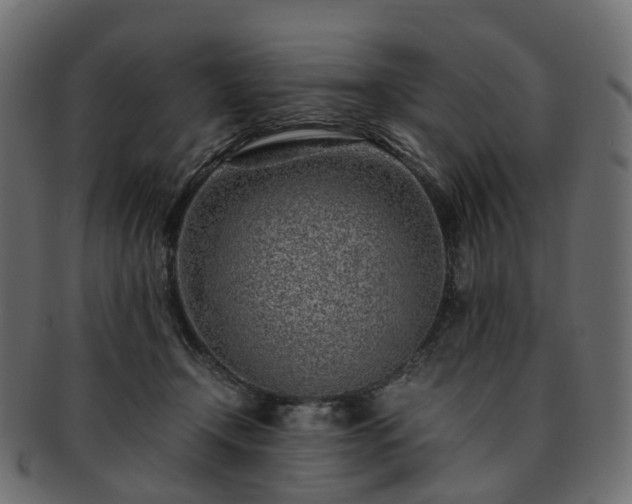 X0000093230366200710031503