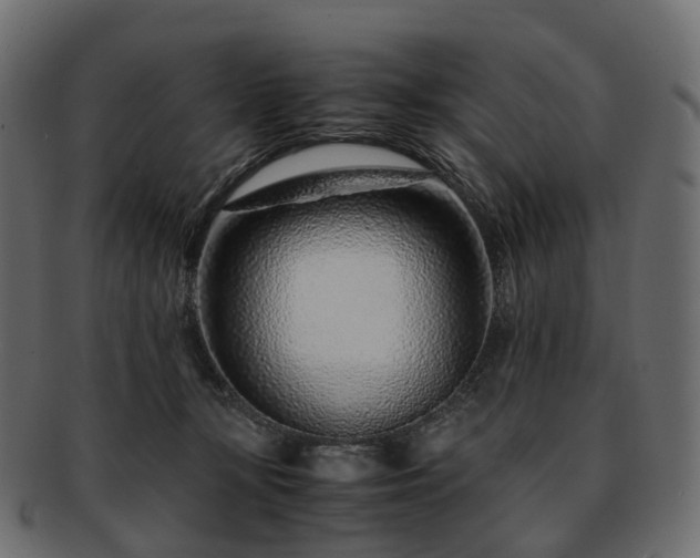 X0000093230367200710031503