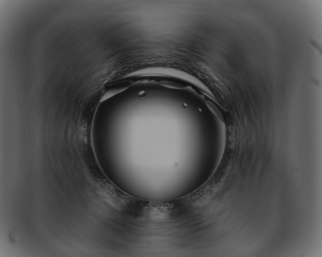 X0000093230368200710031503