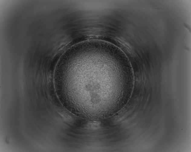 X0000093230369200710031503