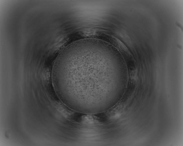 X0000093230372200710031503