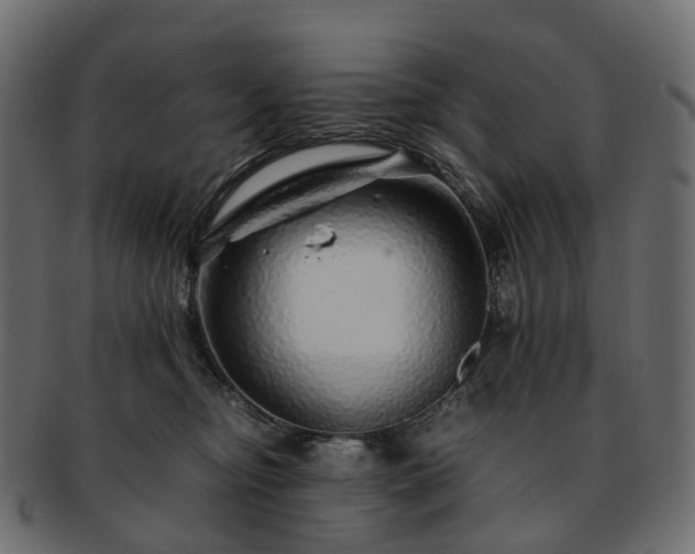 X0000093230374200710031503