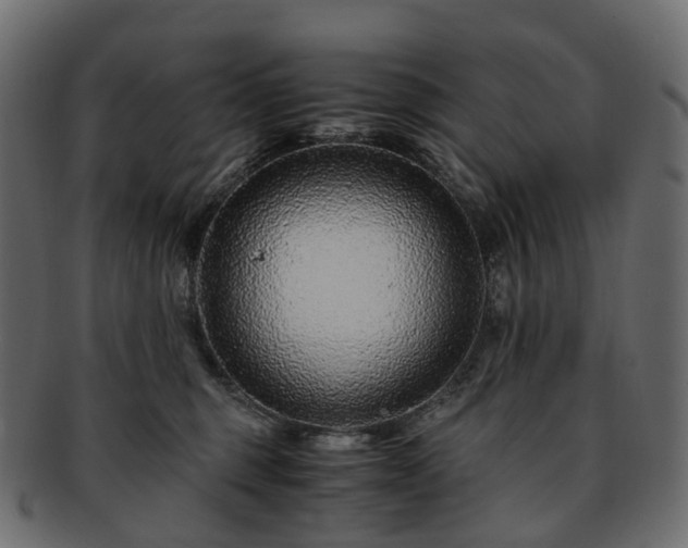 X0000093230375200710031503