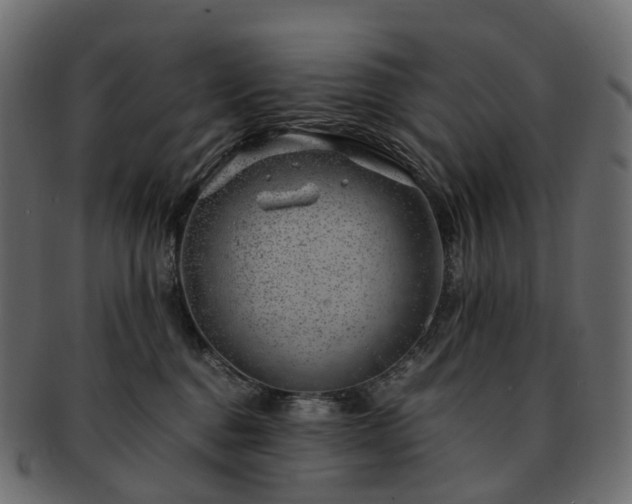 X0000093230376200710031503