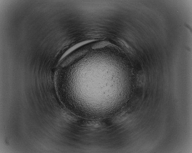 X0000093230377200710031503