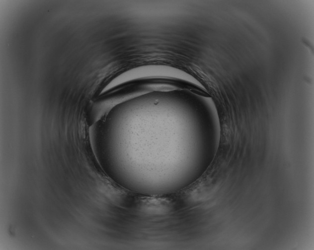 X0000093230379200710031503