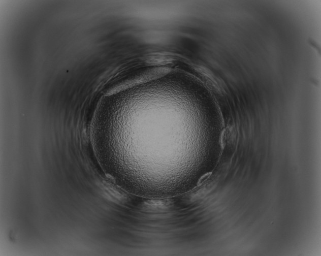 X0000093230381200710031503