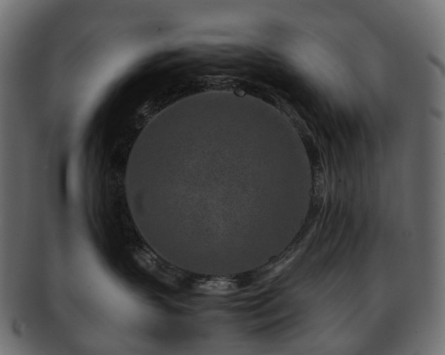 X0000093230383200710031503