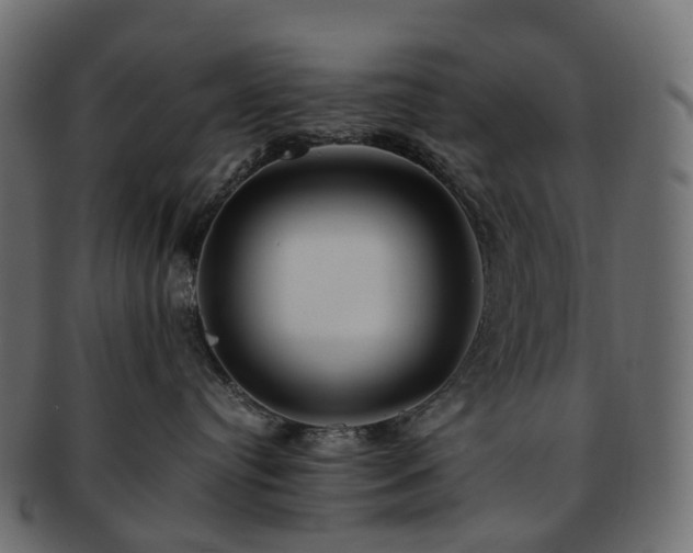 X0000093230384200710031503