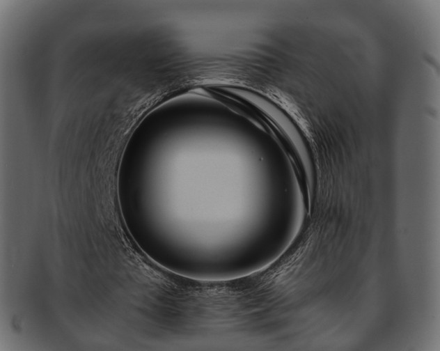 X0000093230385200710031503