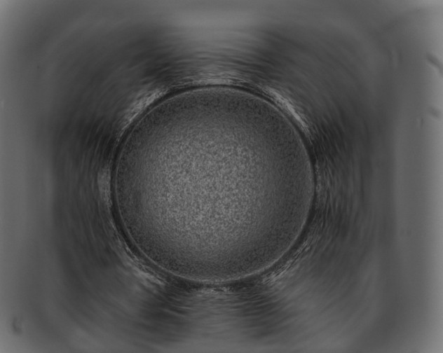 X0000093230386200710031503