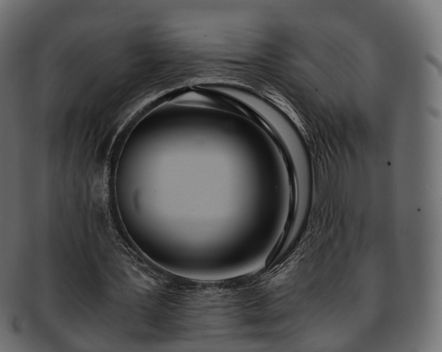 X0000093230387200710031503