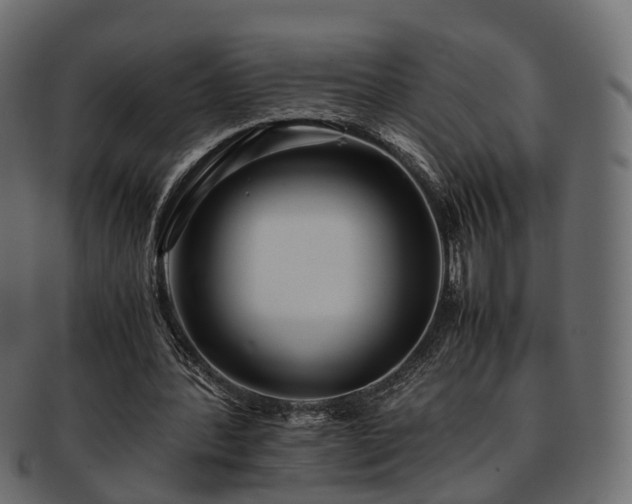 X0000093230388200710031503