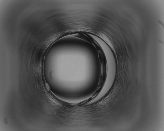 X0000093230389200710031503