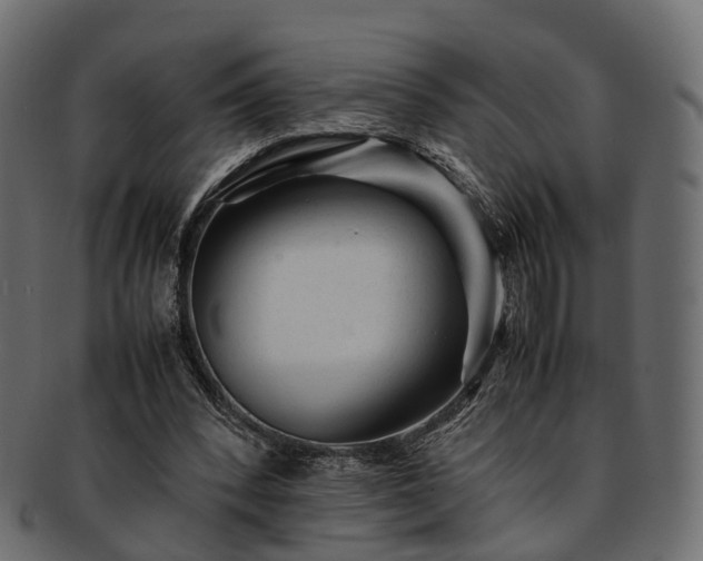 X0000093230392200710031503