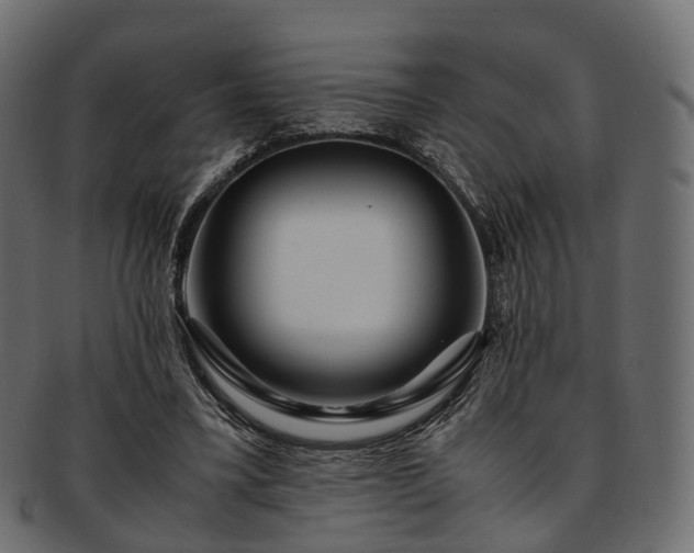 X0000093230395200710031502