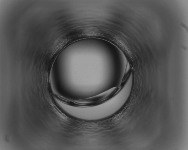 X0000093230397200710031502