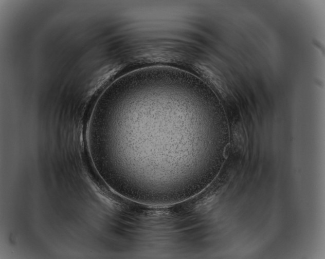 X0000093230398200710031502