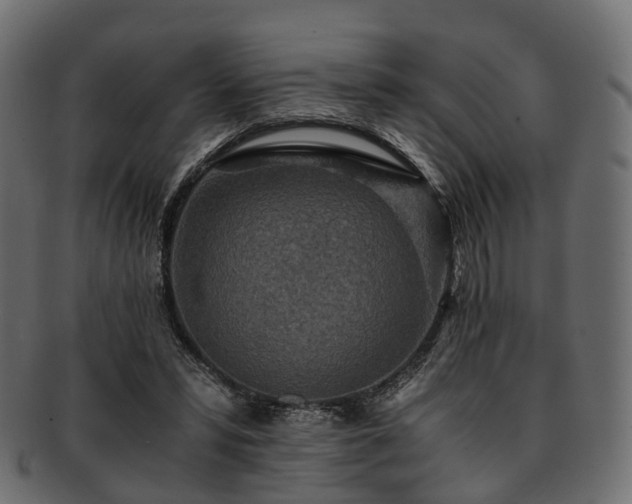 X0000093230399200710031502