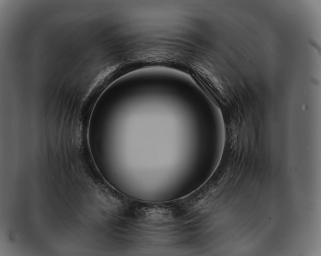 X0000093230400200710031502