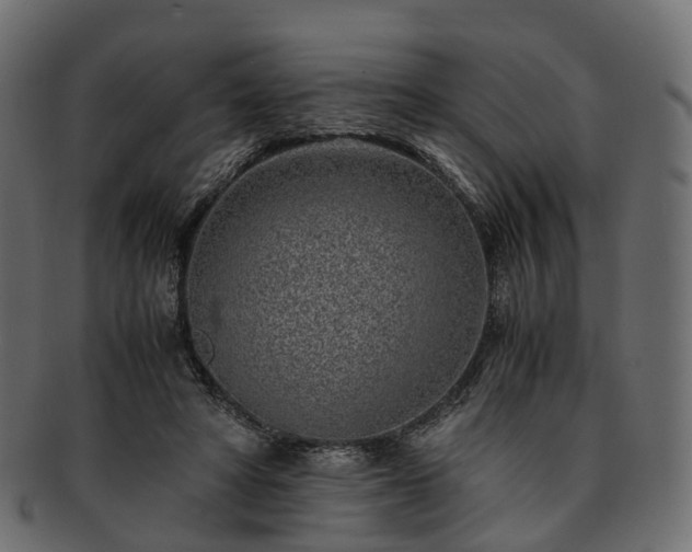 X0000093230402200710031502